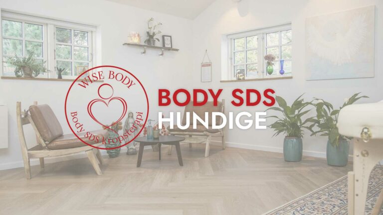 Body SDS Hundige